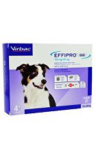 Effipro DUO Dog M (10-20 kg) 134/40 mg, 4x1,34 ml